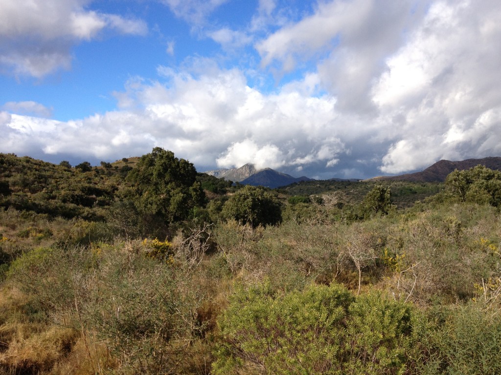 Sentier de randonnée vue du parc d'Aiguamolls